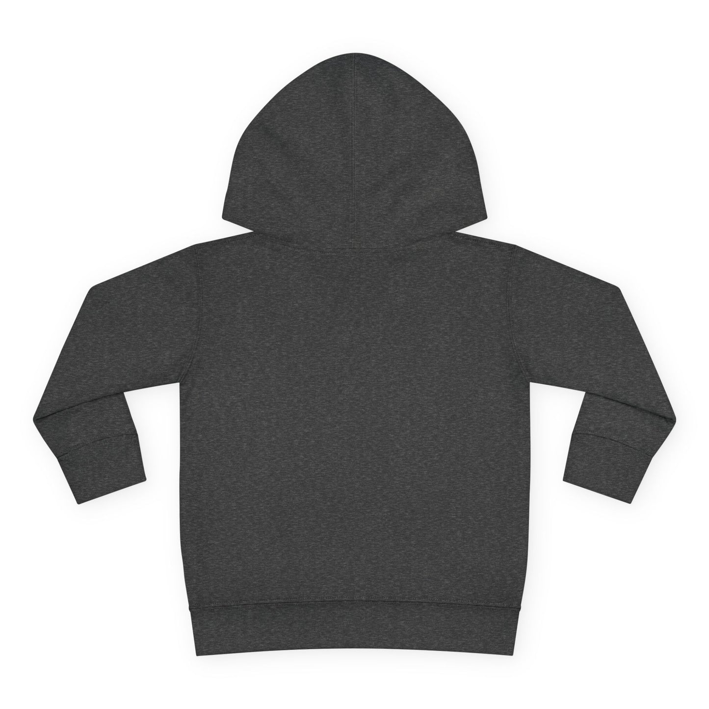 Lions Toddler Hoodie — Gender Neutral Sweatshirt