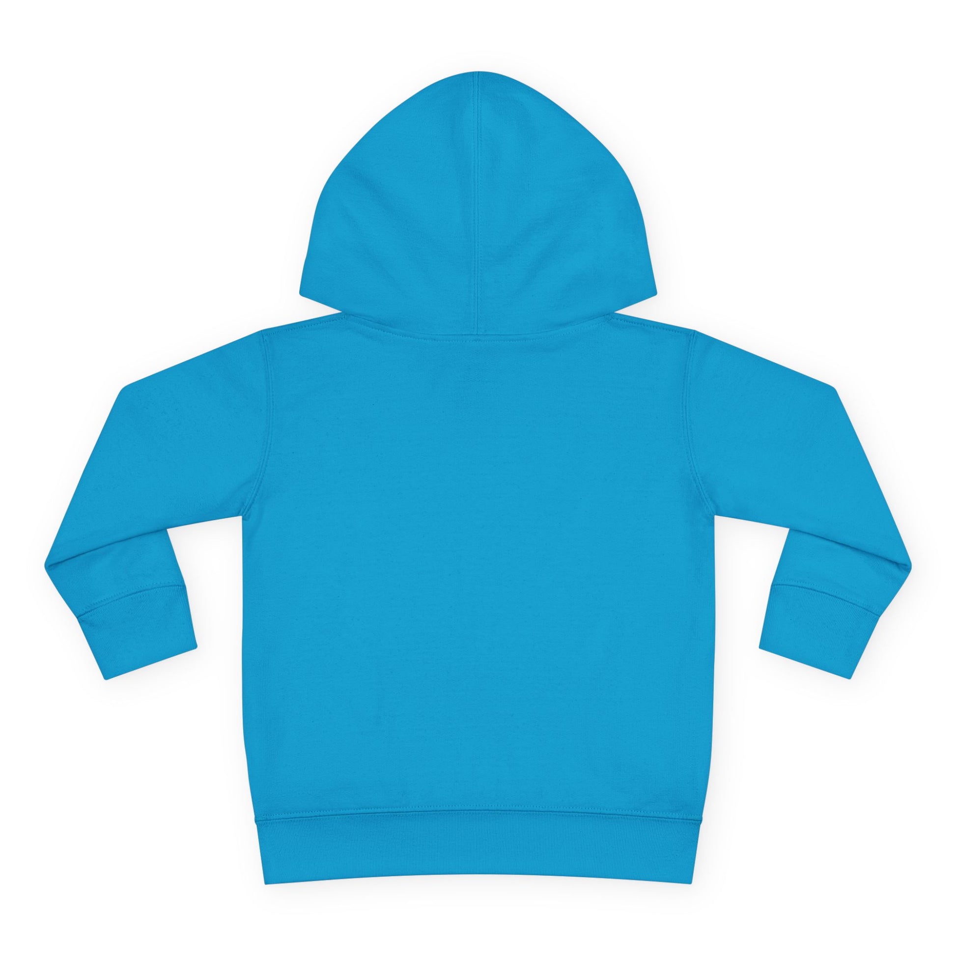 Snake print with floral accents toddler hoodie sweatshirt in Turquoise, gender-neutral kids clothing