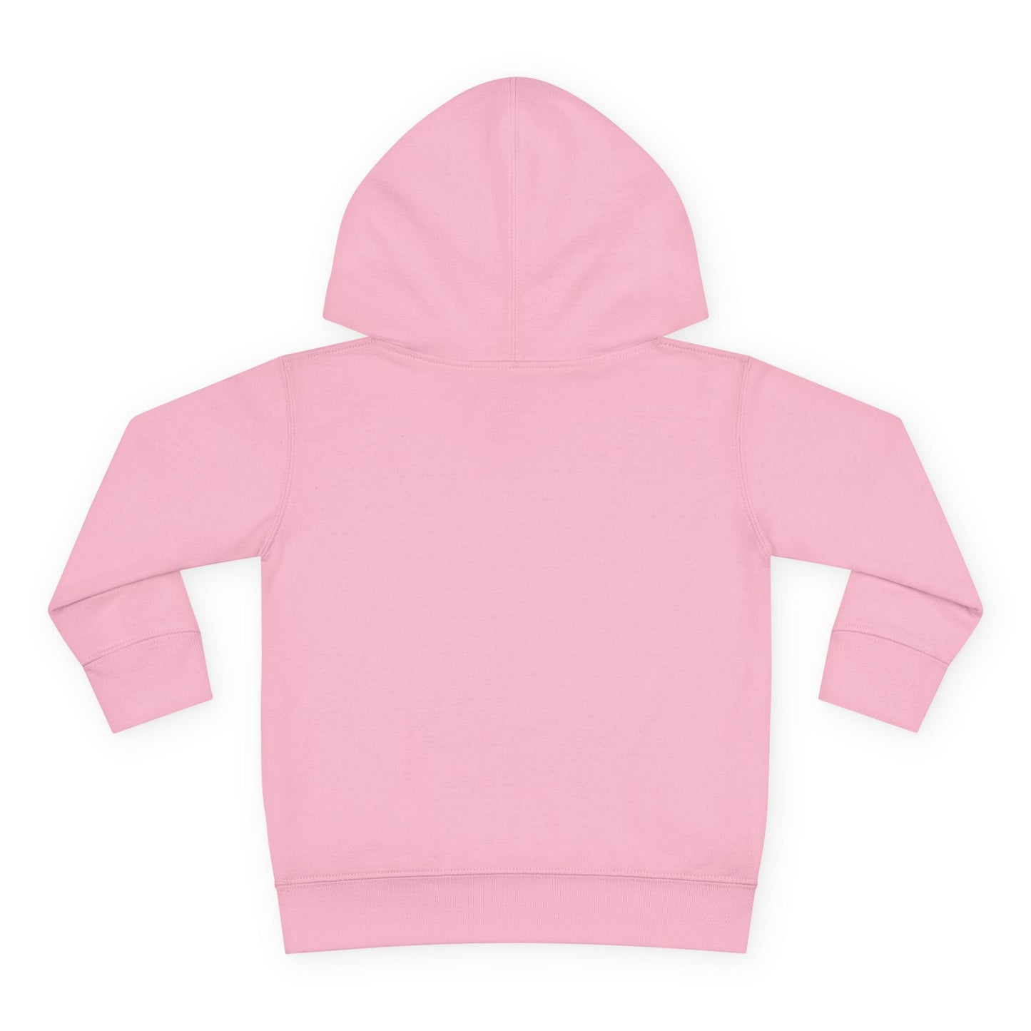 Lions Toddler Hoodie — Gender Neutral Sweatshirt